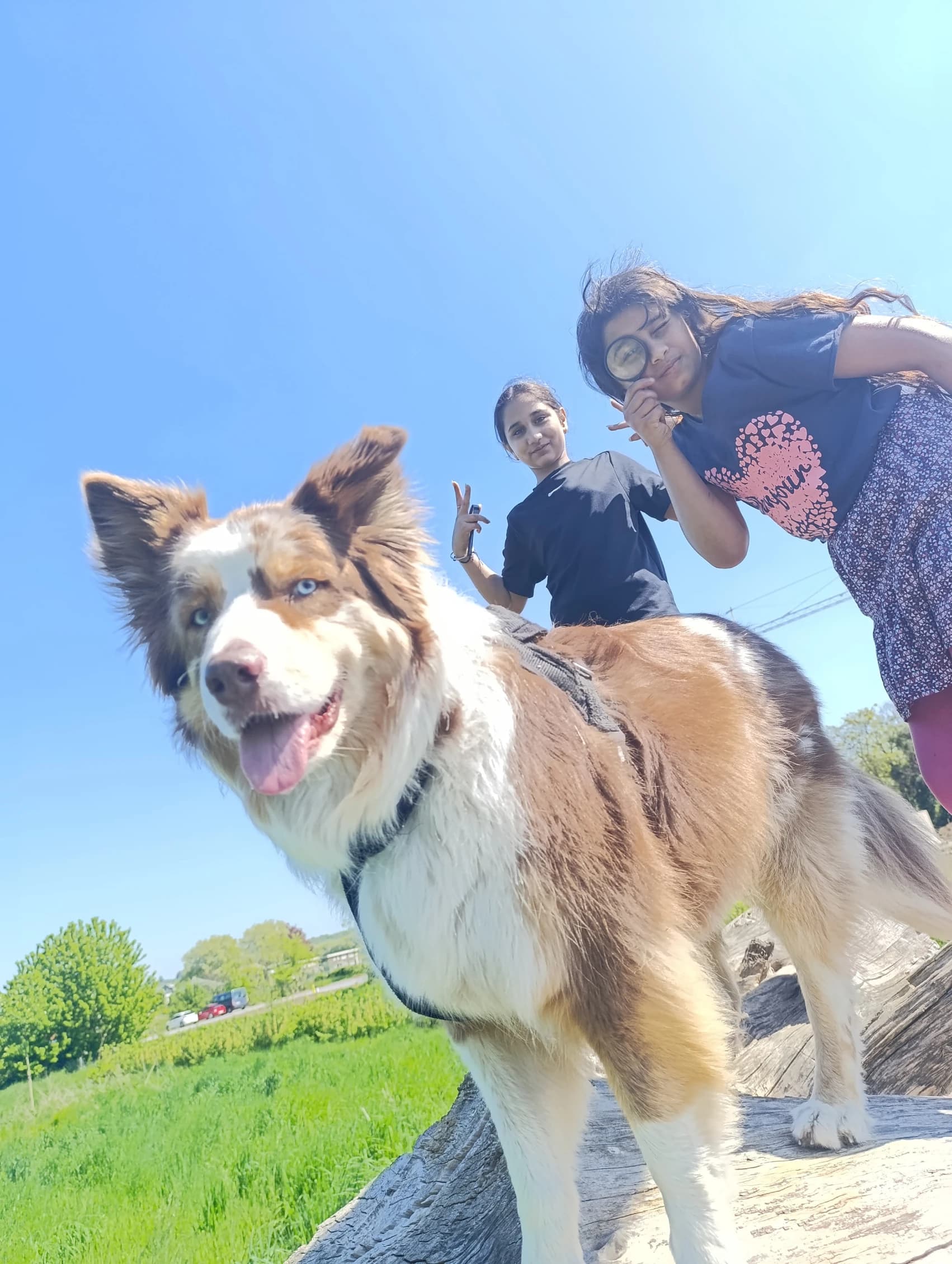 Les enfants de l'école de devoirs La Place en stage nature au printemps 2025