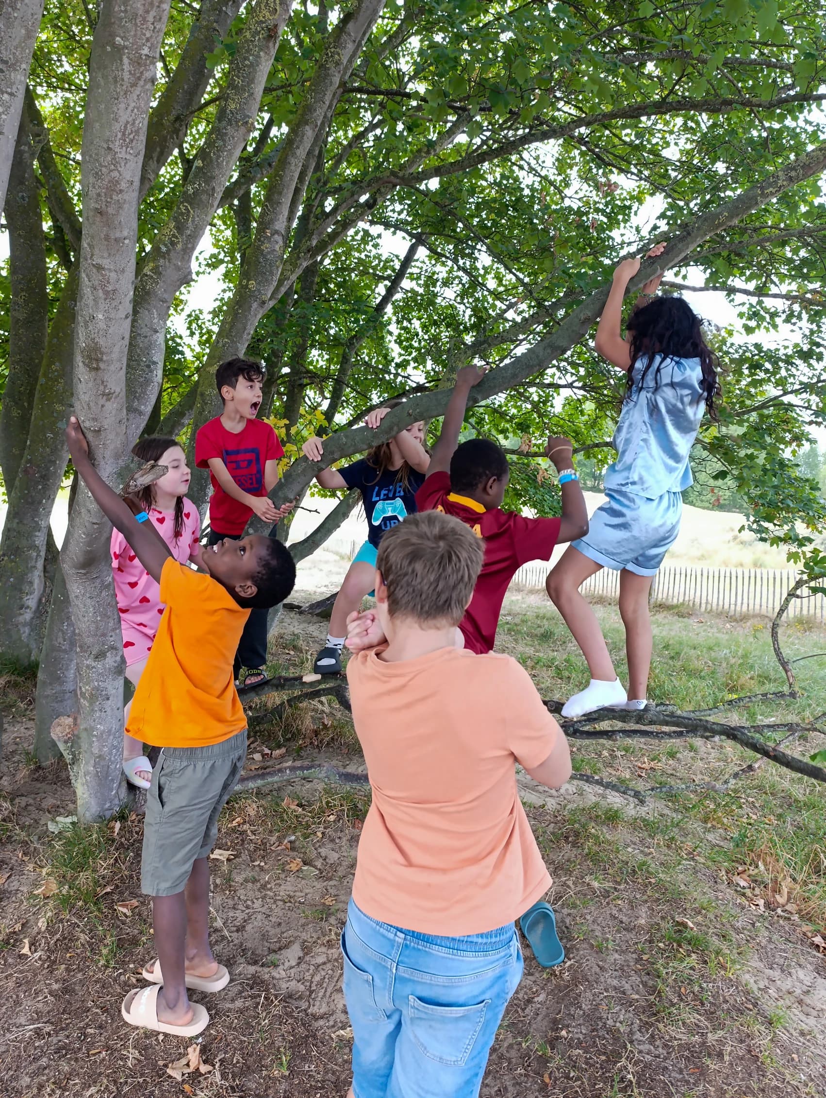Les enfants de l'école de devoirs de La Place en voyage à la mer (Coxyde)